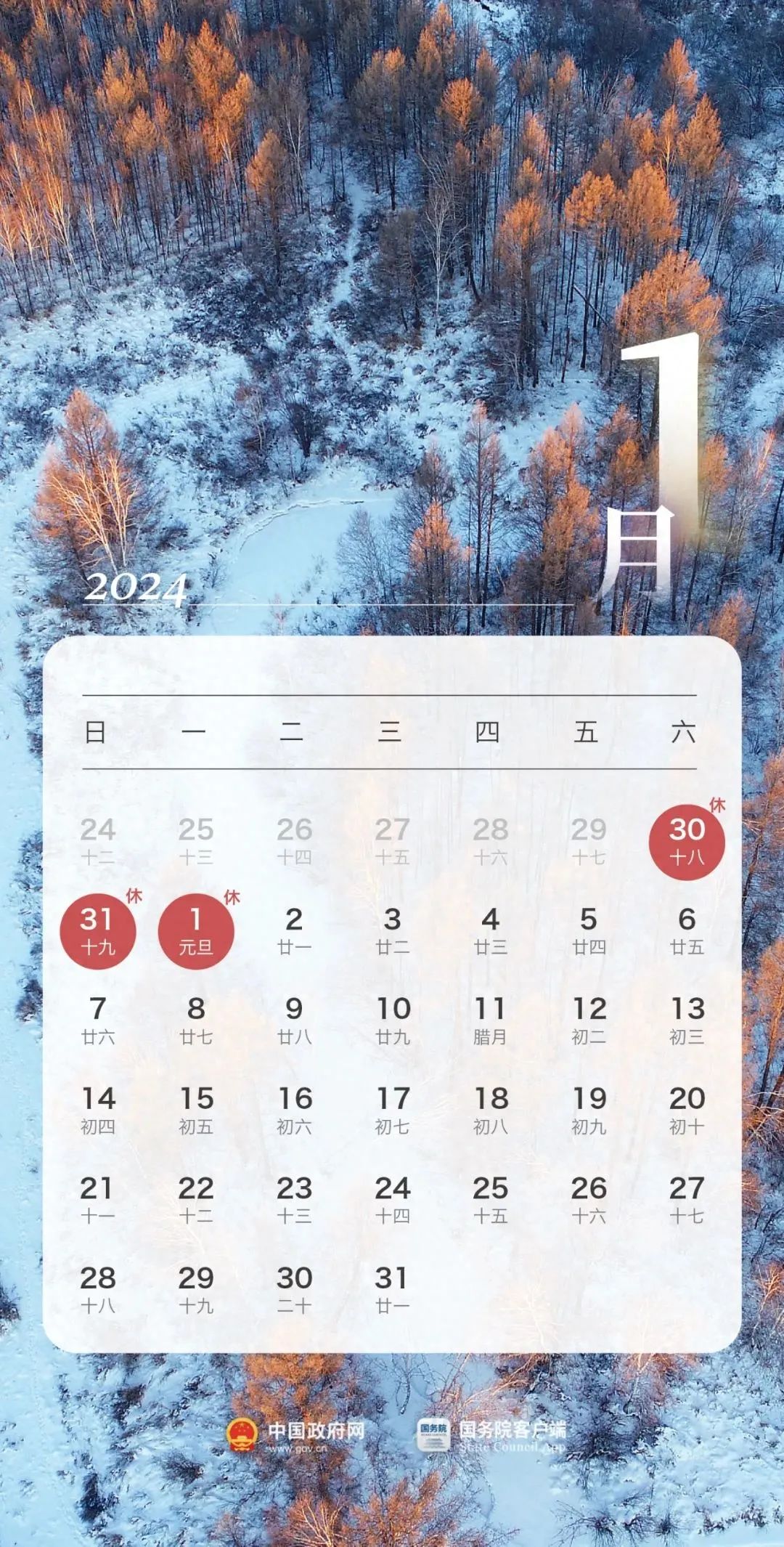 2043年，探索一肖的奥秘—正版资料免费大全2024年正版资料免费大全一肖须眉不让