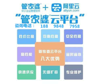 管家婆精选二四六码，解码数字背后的智慧与策略管家婆精选246码