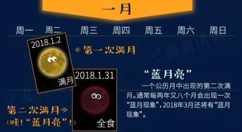 蓝月亮精选，揭秘开奖结果背后的故事开奖结果蓝月亮精选枓 小说