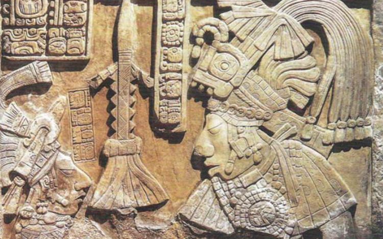 玛雅论坛最新动态，探索古代文明智慧与现代科技融合的未来之路玛雅论坛最新消息