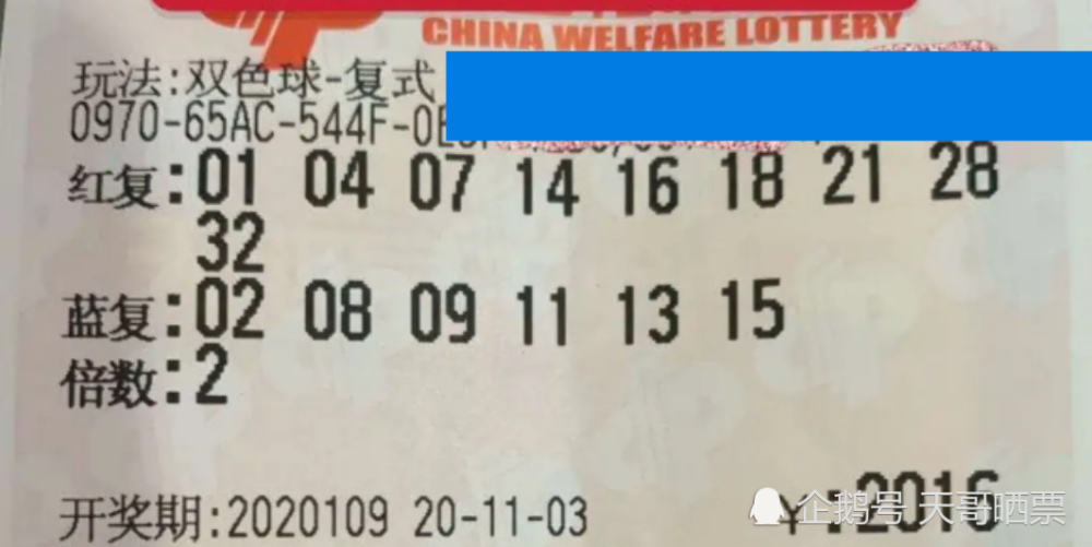2015年六和合彩，一场数字与梦想的交织6合和彩2017开奖记录
