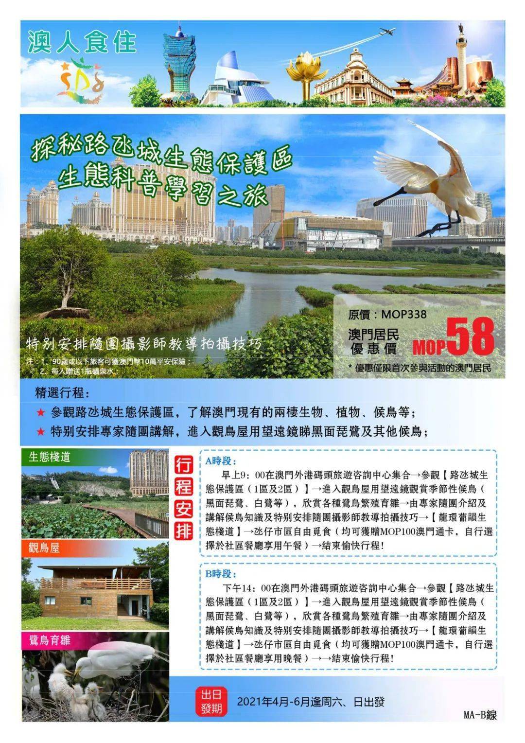 2036年澳门资讯全览，探索与展望2023澳门资料大全免费老版十一
