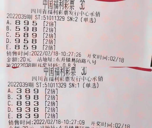 今期新澳门开奖结果记录，透视彩票背后的社会与心理现象今期新澳门开奖结果记录表查询