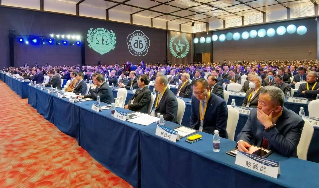 2035年，探索澳门开奖结果查询的数字化新纪元2023澳门开奖结果查询开奖记录
