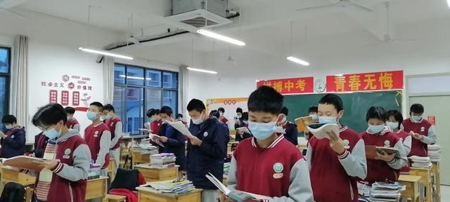 免费公开的二四六资料大全，全面解析与使用指南二四六免费资料大全每期文字资料