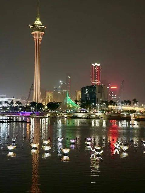澳门夜色中的马之谜，文化、历史与现代生活的交融今天澳门晚上出什么马2023最新