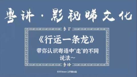 探索2046，香港图库免费资料大全的深度解析与使用指南2024香港图库免费资料大全看一