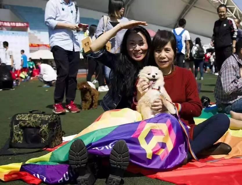 彩虹旗娱乐论坛，多元文化的交汇与共鸣彩虹旗娱乐论坛12周年