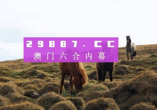 澳门开奖记录最新回顾，历史与惊喜的交织澳门开奖记录最近2023年