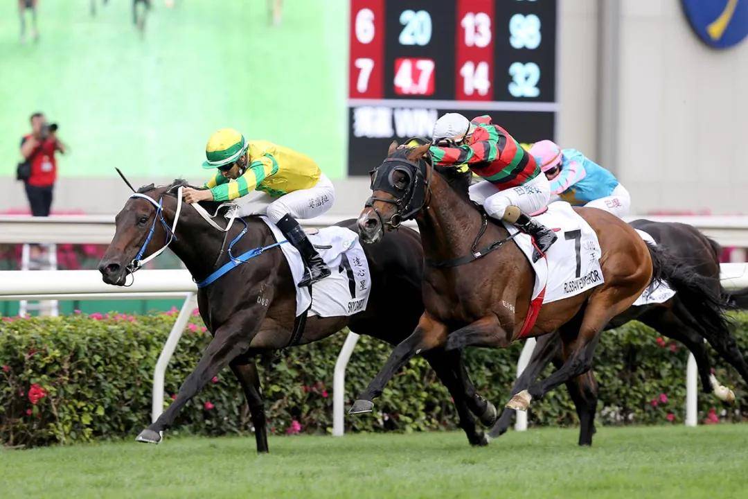 2019香港马会全年资料大全，精彩赛事与辉煌成就回顾香港2021年马会资料大全