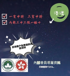 揭秘香港最准一码中持资料，精准投注的背后香港最准一码中持资料2021075期,香港