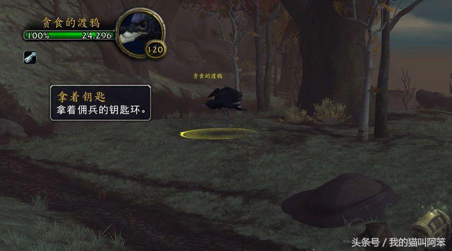 2019全年免费资料大全，解锁知识宝藏的钥匙2019年免费资料旧版大全