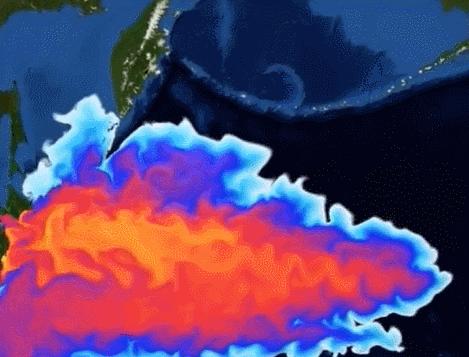 2019年香港6合开奖结果走势分析图,深度剖析与未来预测香港6合开奖号码