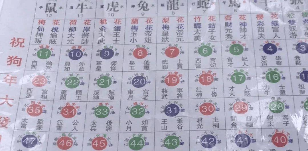 探秘香港六合资料大全,解读梅花诗最新中文版全文的奥秘