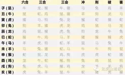 揭秘香港6合12生肖表号，深度解析其级别与影响香港6合和彩生肖数字