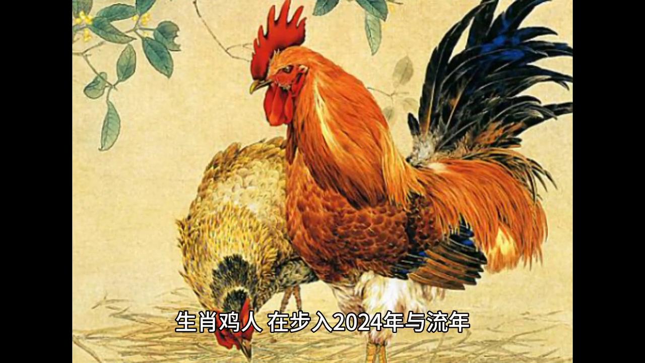 探索香港六合走势图表，102期深度解析与未来展望香港6合走势图表100期最新版图片