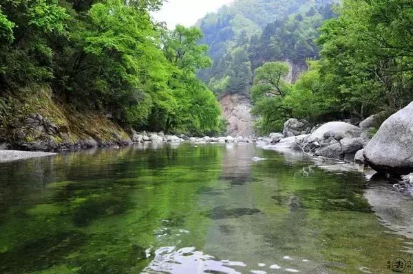 香港六合走势图表最新预测图，深度解析与未来展望香港6合走势图表最新预测图片