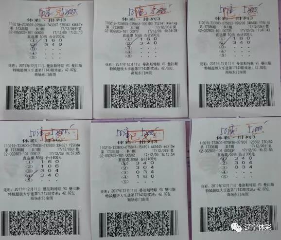 揭秘香港6合开彩，最新中奖记录与查询指南香港6合开奖结果记录20|9年